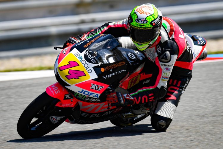 Tony Arbolino - Moto3 2019