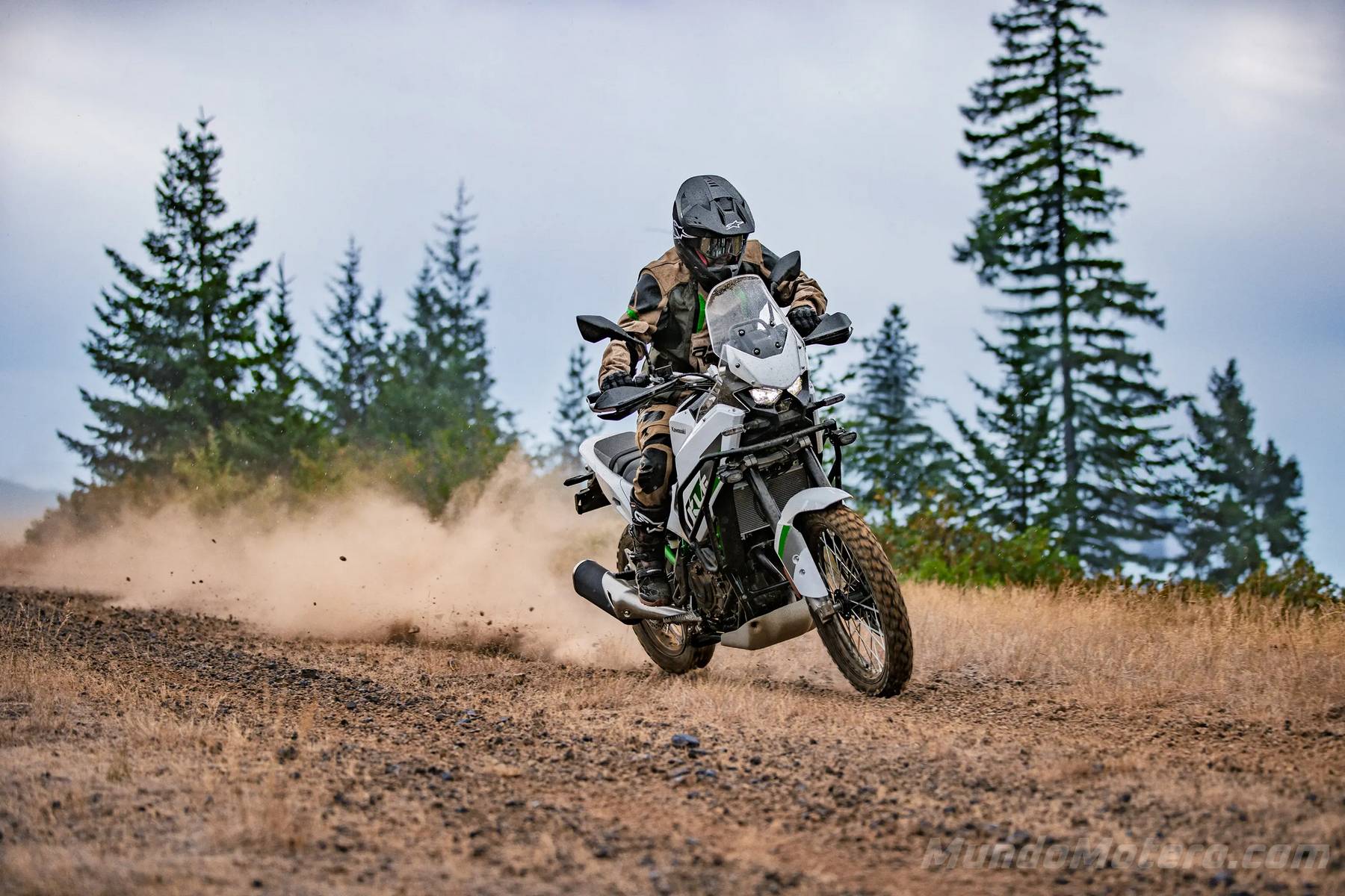 Kawasaki KLE 500 2026 Kawasaki KLE 500 2026