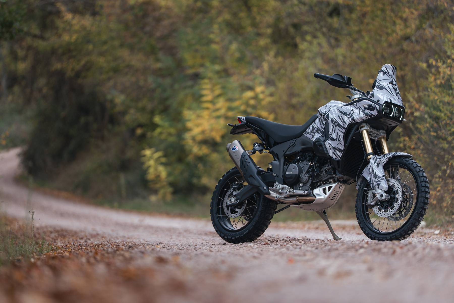 DUCATI DesertX 2026 DUCATI DesertX 2026